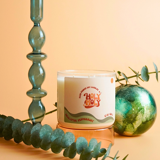 Eucalyptus Peppermint - Hand Poured Scented Soy Candle - Gift Box - 17oz